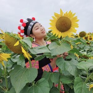 Meet your Posher, Chao